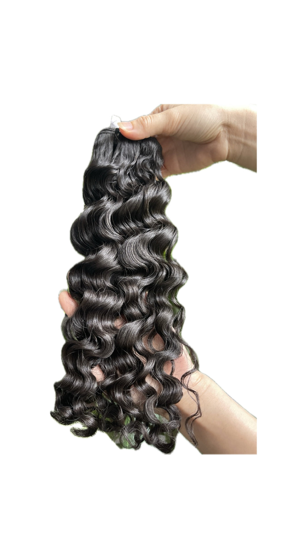 Burmese Curly